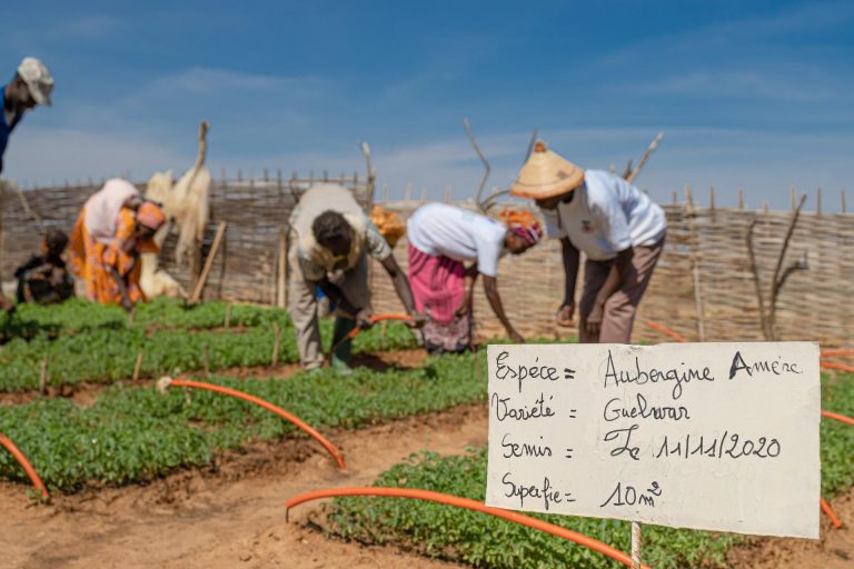 Progetto di cooperazione agroalimentare.